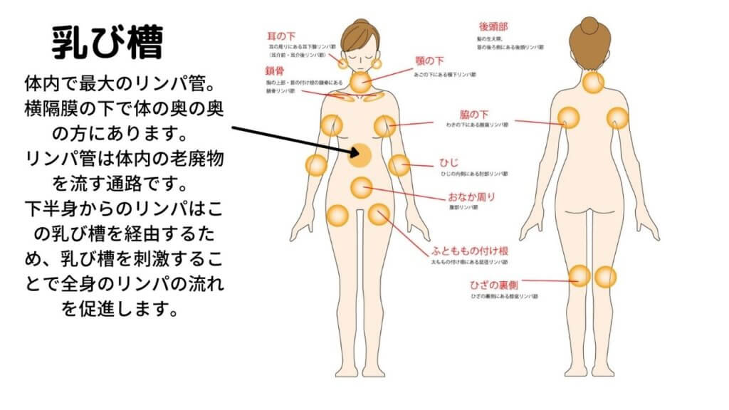 【ツイストボード】でお腹周りが痩せる？使い方と効果まとめ-4