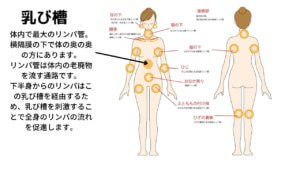 【ツイストボード】でお腹周りが痩せる？使い方と効果まとめ-4