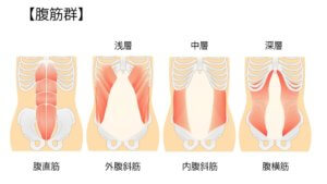 【ツイストボード】でお腹周りが痩せる？使い方と効果まとめ-3