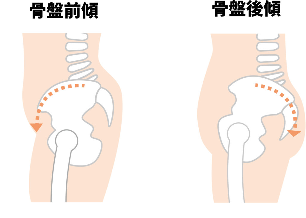 骨盤の前傾・後傾