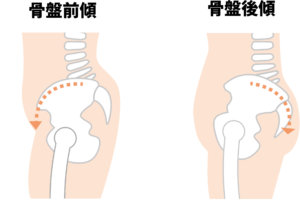 骨盤の前傾・後傾