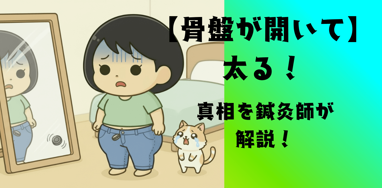 【骨盤が開いて太る!】の真相を鍼灸師が解説!