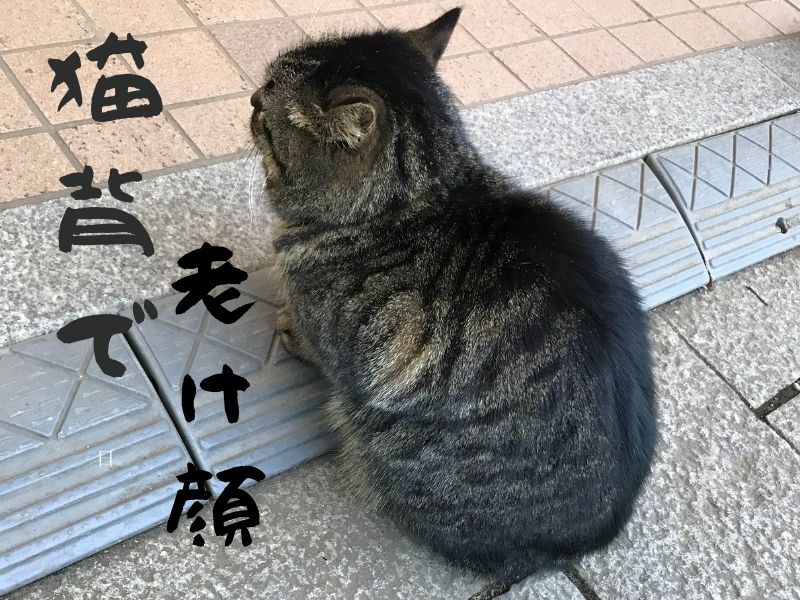 猫背で老け顔