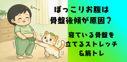 ぽっこりお腹は骨盤後傾が原因？寝ている骨盤を立てるストレッチ＆筋トレ