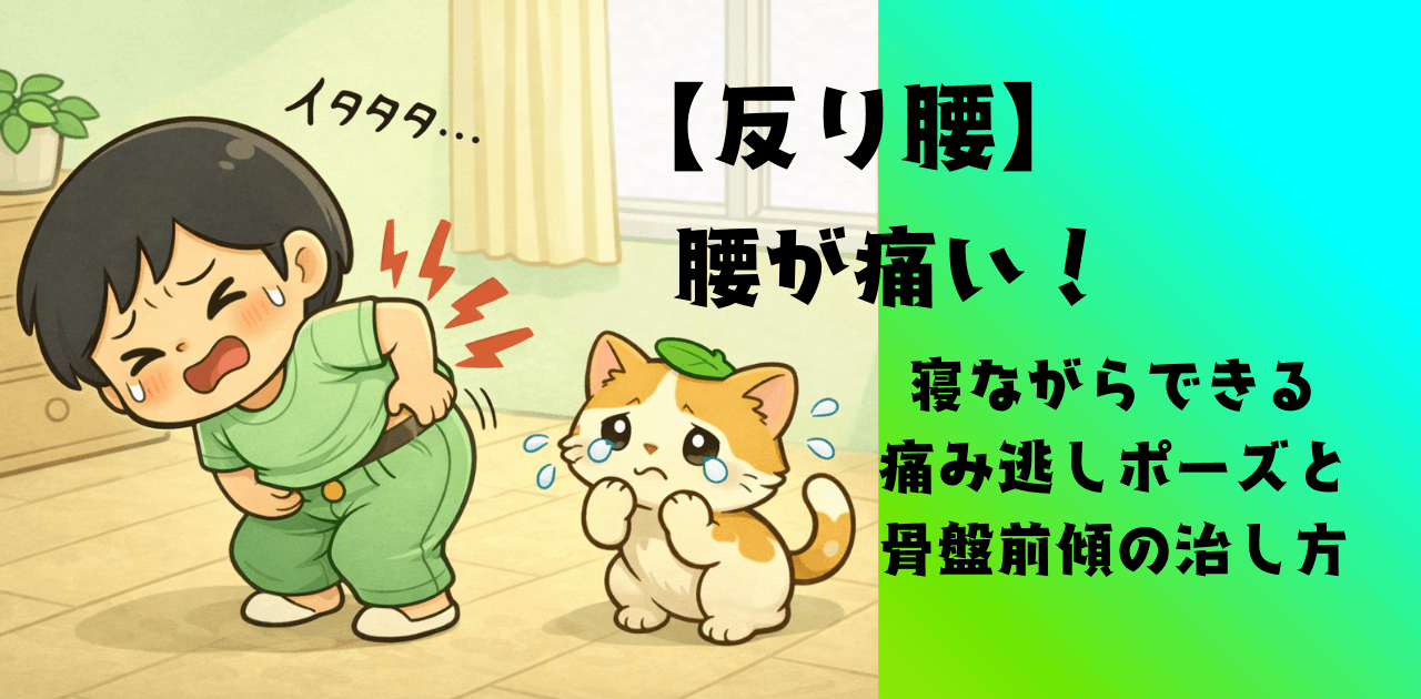 【反り腰】腰が痛い！寝ながらできる痛み逃しポーズと骨盤前傾の治し方