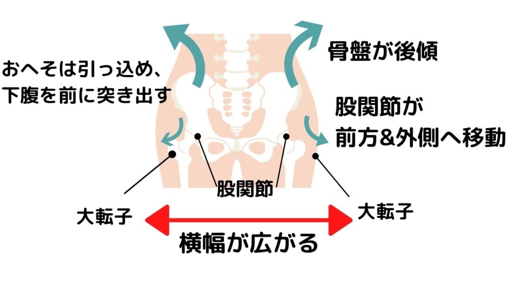 下半身太り