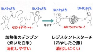 冷やご飯でダイエット！炭水化物を食べてもいいの？レジスタントスターチって何？