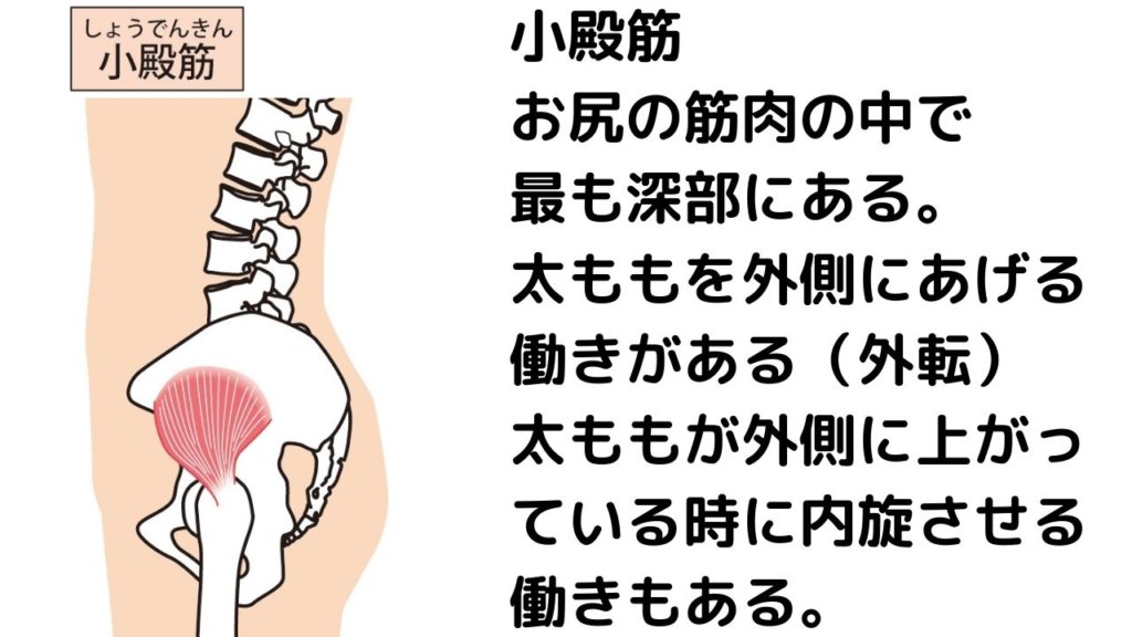 開脚前屈できないのは骨盤のせい？