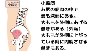 開脚前屈できないのは骨盤のせい？