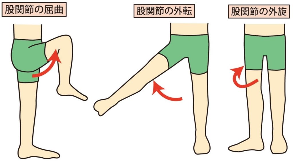 開脚前屈できないのは骨盤のせい？