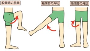 開脚前屈できないのは骨盤のせい？