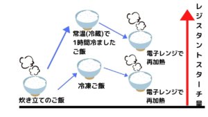 冷やご飯でダイエット！炭水化物を食べてもいいの？レジスタントスターチって何？