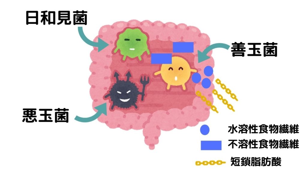 冷やご飯でダイエット！炭水化物を食べてもいいの？レジスタントスターチって何？