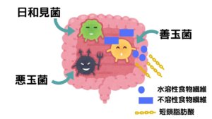 冷やご飯でダイエット！炭水化物を食べてもいいの？レジスタントスターチって何？