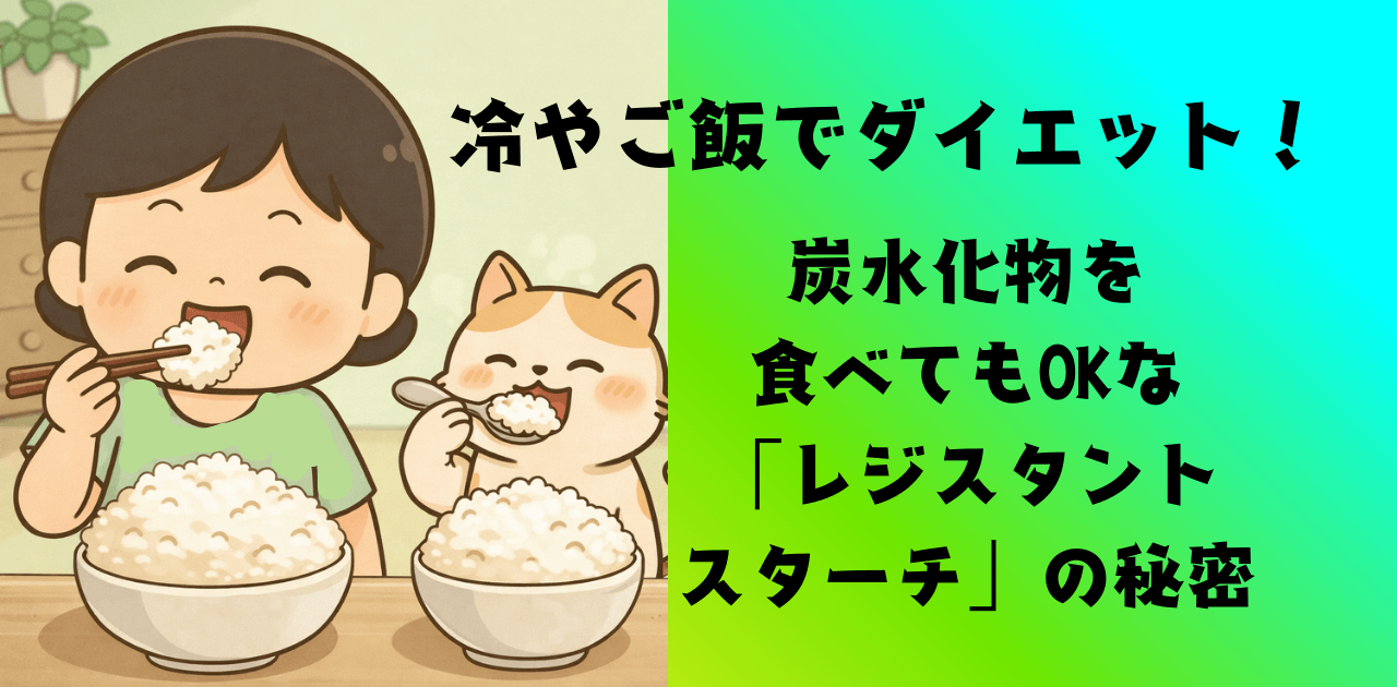 冷やご飯でダイエット!炭水化物を食べてもOKな「レジスタントスターチ」の秘密