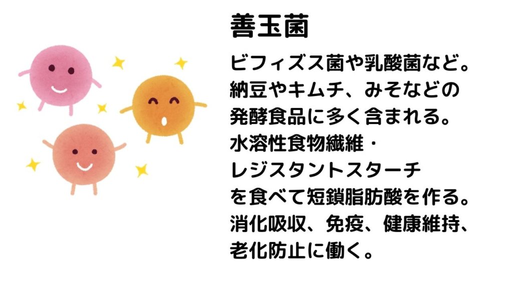 冷やご飯でダイエット！炭水化物を食べてもいいの？レジスタントスターチって何？