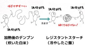 冷やご飯でダイエット！炭水化物を食べてもいいの？レジスタントスターチって何？