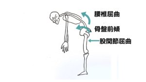 中腰姿勢は腰痛の原因？