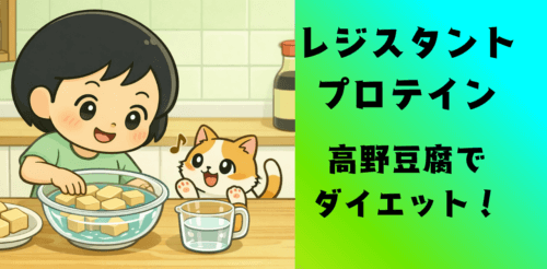 【レジスタントプロテイン】高野豆腐でダイエット！