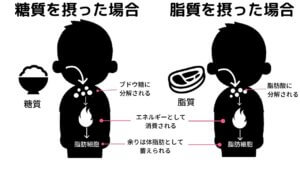 ダイエット中は油を抜いたほうがいい？-4