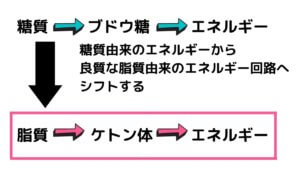 MCTオイルで ダイエット？-3