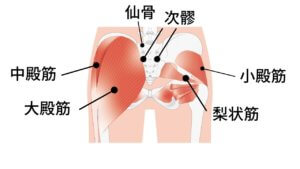 お尻が冷たくなっていませんか？【温活のススメ】