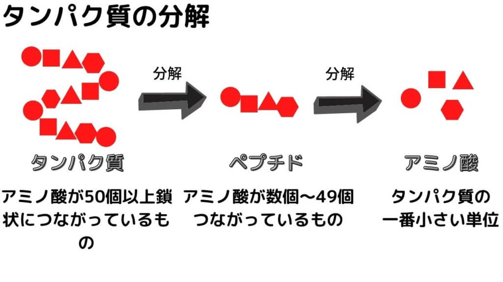 【レジスタントプロテイン】高野豆腐でダイエット！-2