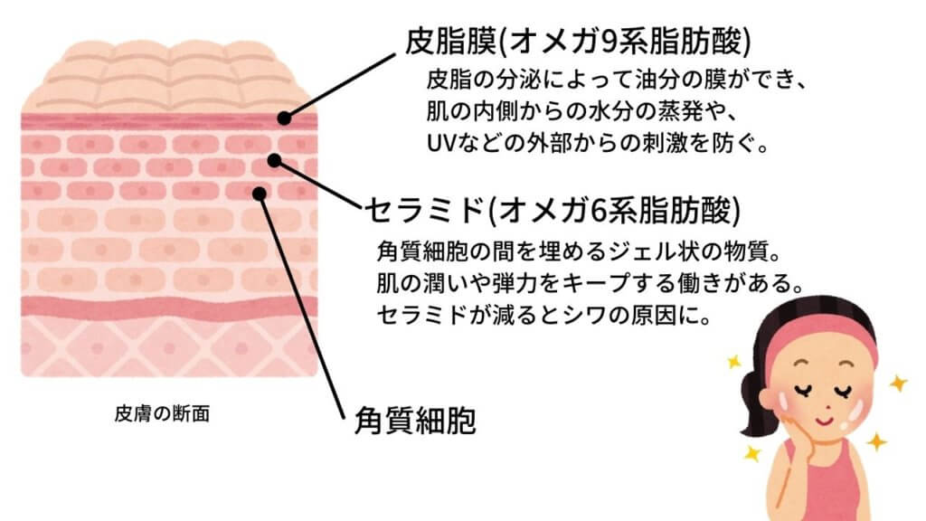 【サラダ油】は健康にいい油？-6