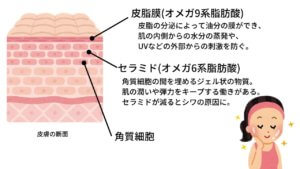 【サラダ油】は健康にいい油？-6