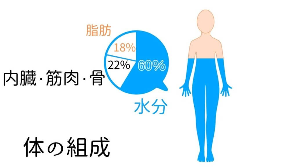 体脂肪が落ちにくいのは何故？-10