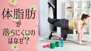 体脂肪が落ちにくいのは何故？