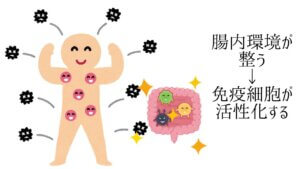 【キムチ】健康に良いからって、食べすぎていませんか？-5