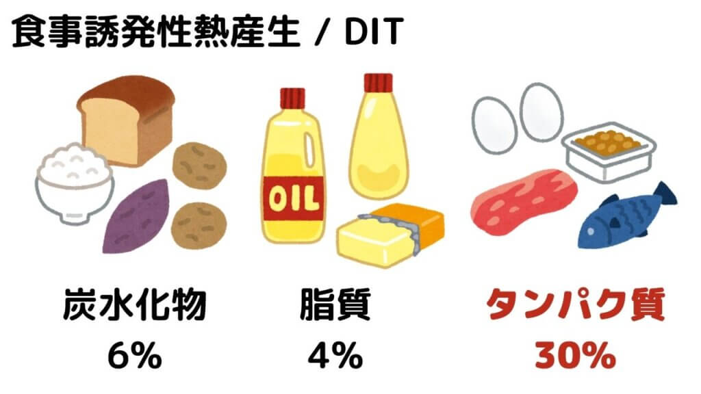 タンパク質は太りにくい？-4