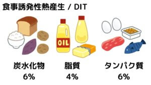 タンパク質は太りにくい？-2