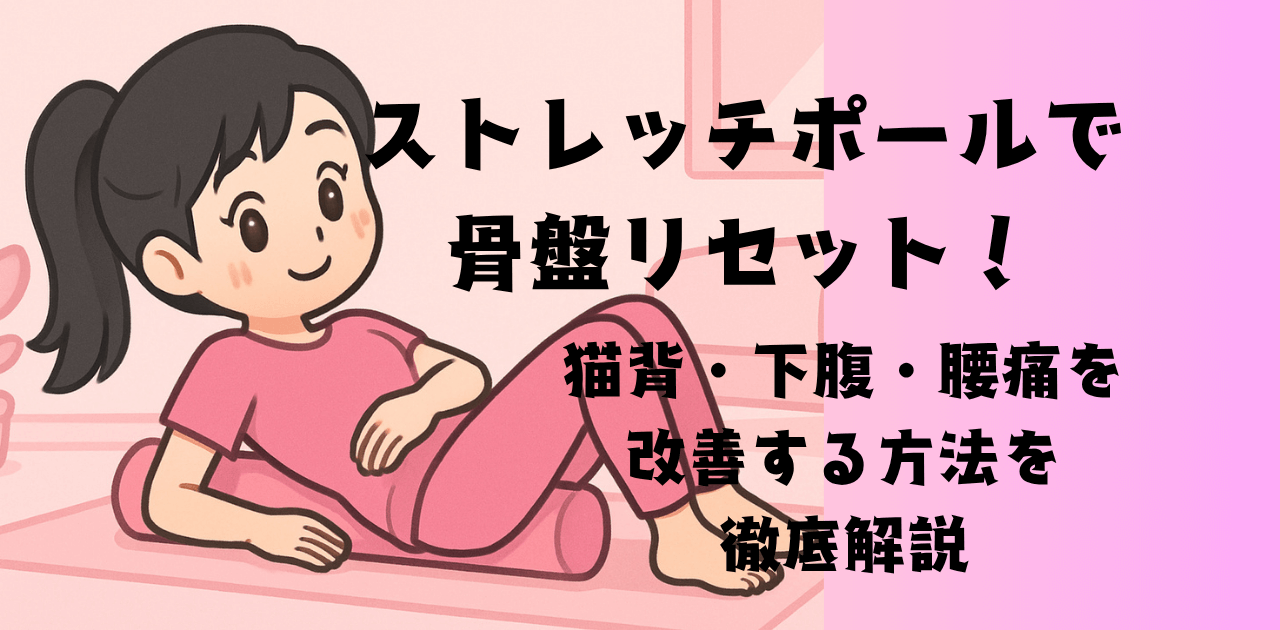 ストレッチポールで骨盤リセット!猫背・下腹・腰痛を改善する方法を徹底解説