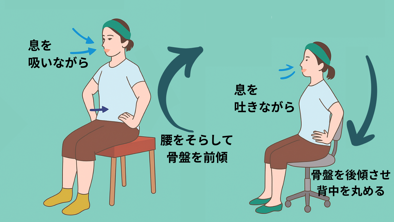 骨盤デスクワークケア