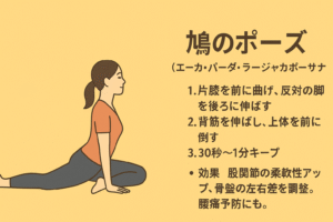 骨盤ダイエットとヨガ