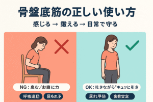 骨盤底筋アイキャッチ