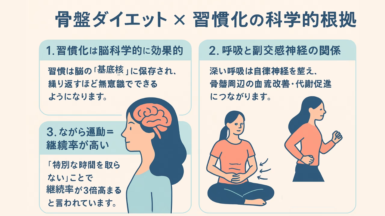 骨盤を整える呼吸法