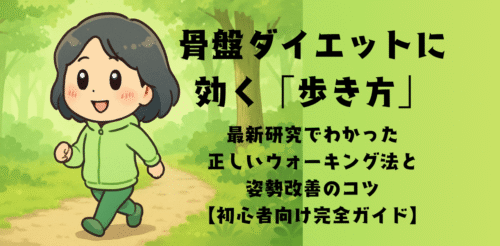 骨盤ダイエットに効く歩き方｜｜最新研究でわかった正しいウォーキング法と姿勢改善のコツ【初心者向け完全ガイド】