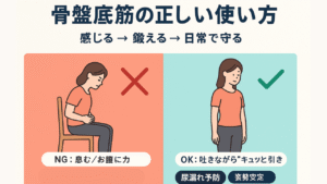 骨盤底筋アイキャッチ