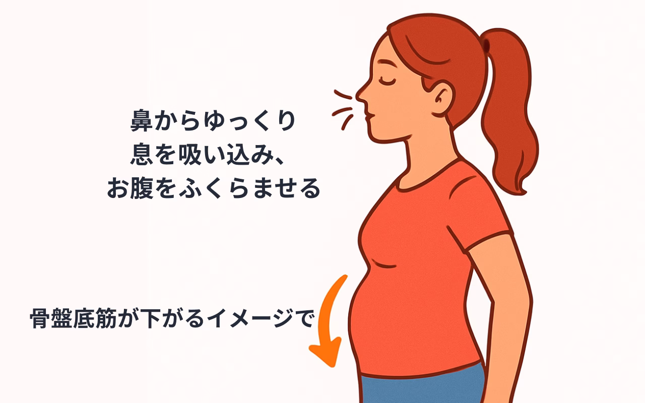 深呼吸で骨盤が変わる？