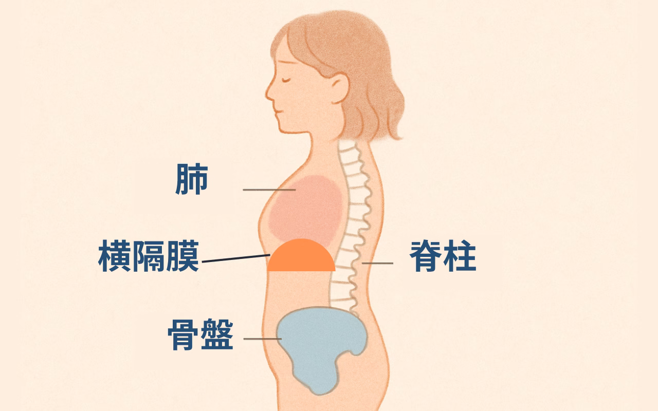 骨盤リセットで疲れにくい体に