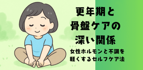 更年期と骨盤の深い関係女性ホルモンと不調を軽くするセルフケア法