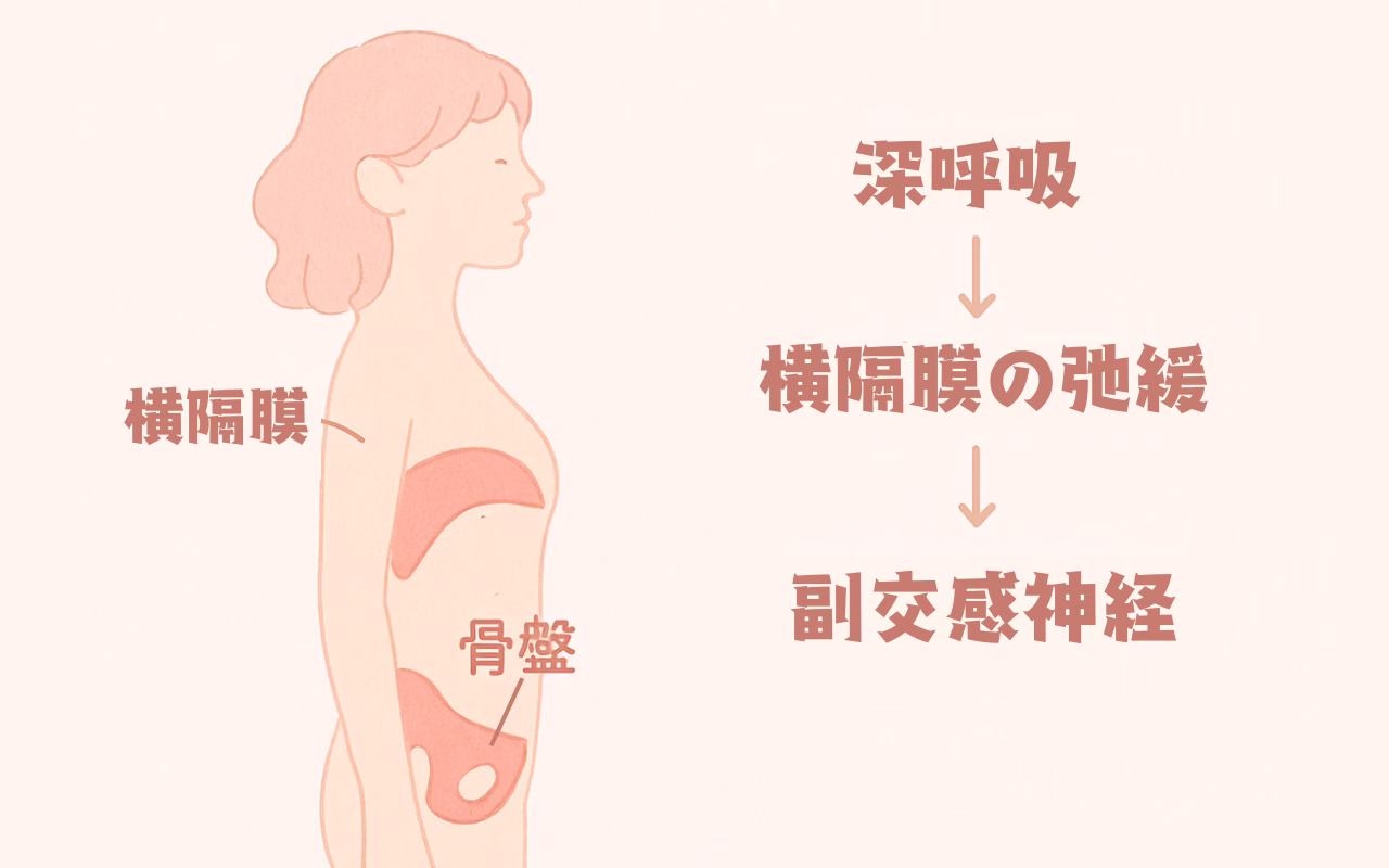 夜のセルフリラックス法