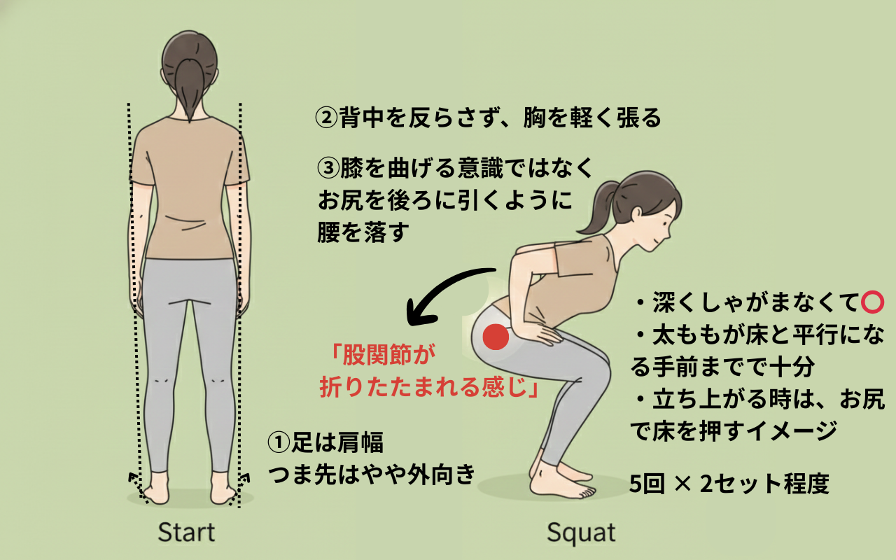 股関節主導のやさしいスクワット