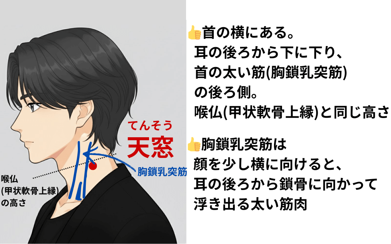 天窓（てんそう）の場所と取り方の図解