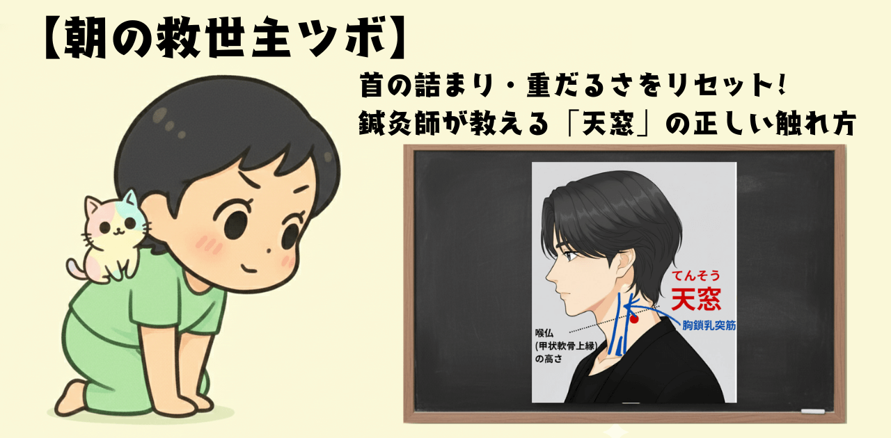 【朝の救世主ツボ】首の詰まり・重だるさをリセット。鍼灸師が教える「天窓（てんそう）」の正しい触れ方