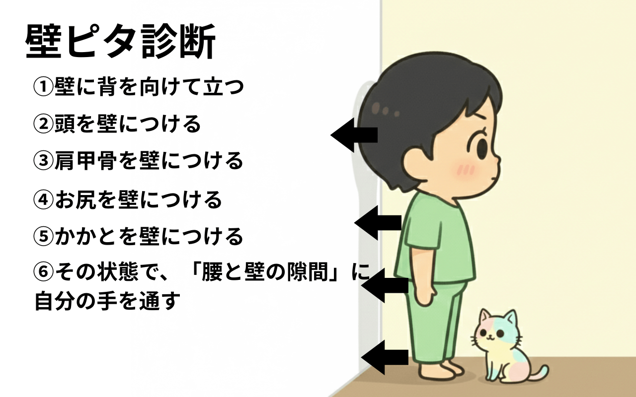 壁ピタ診断：真横から見た正しい姿勢のチェック方法