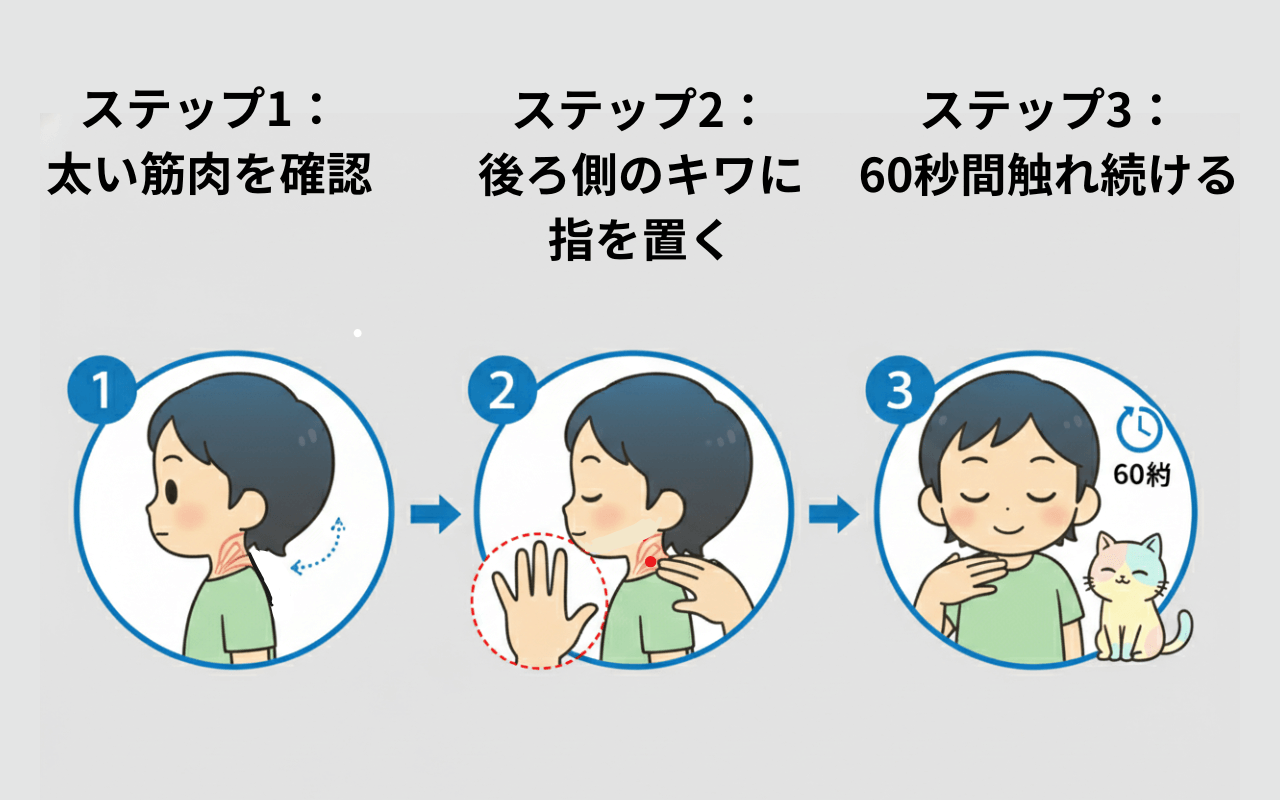 天窓ツボを見つける3ステップの図解